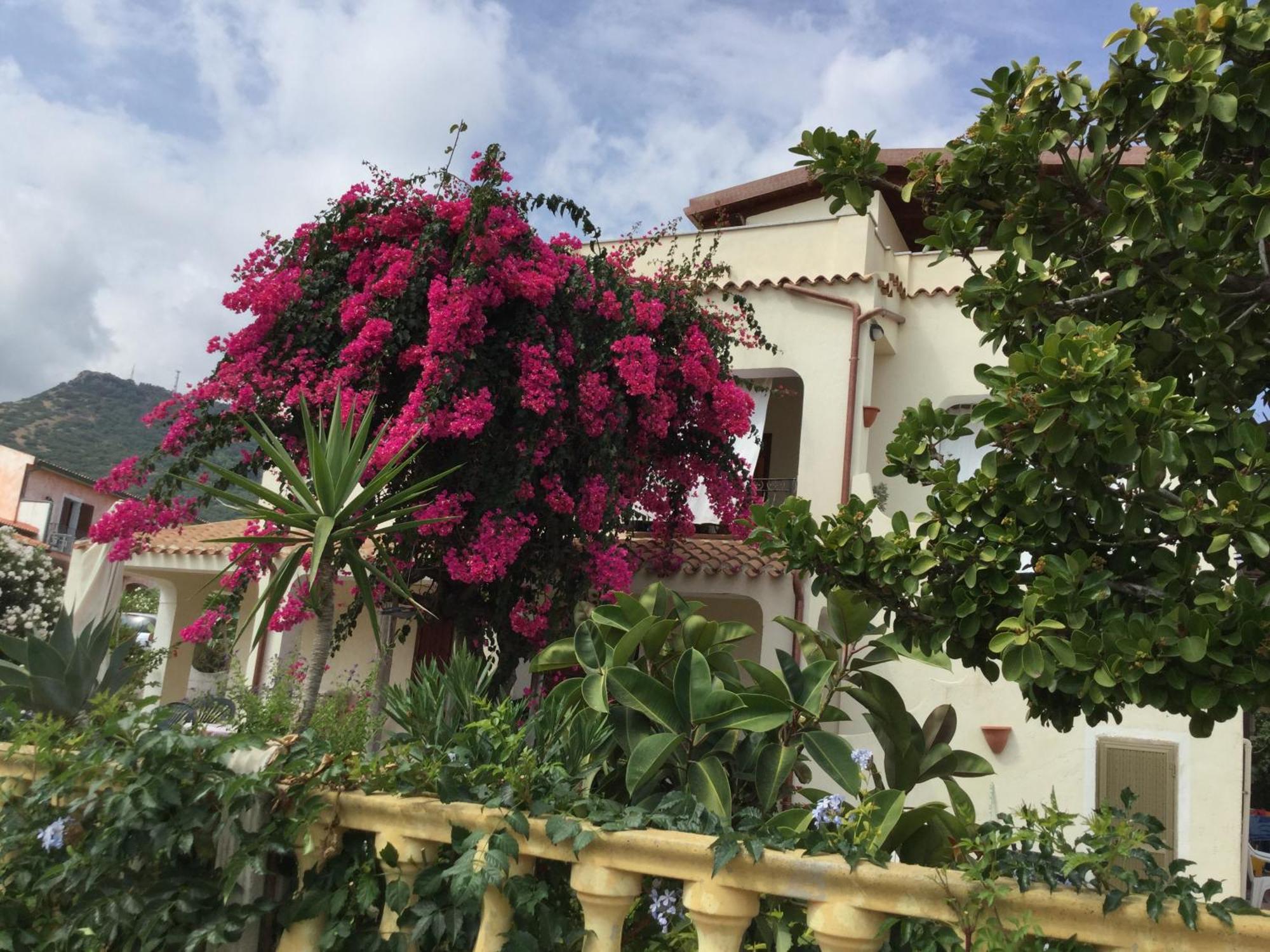 Villa Bouganville فاليدوريا المظهر الخارجي الصورة